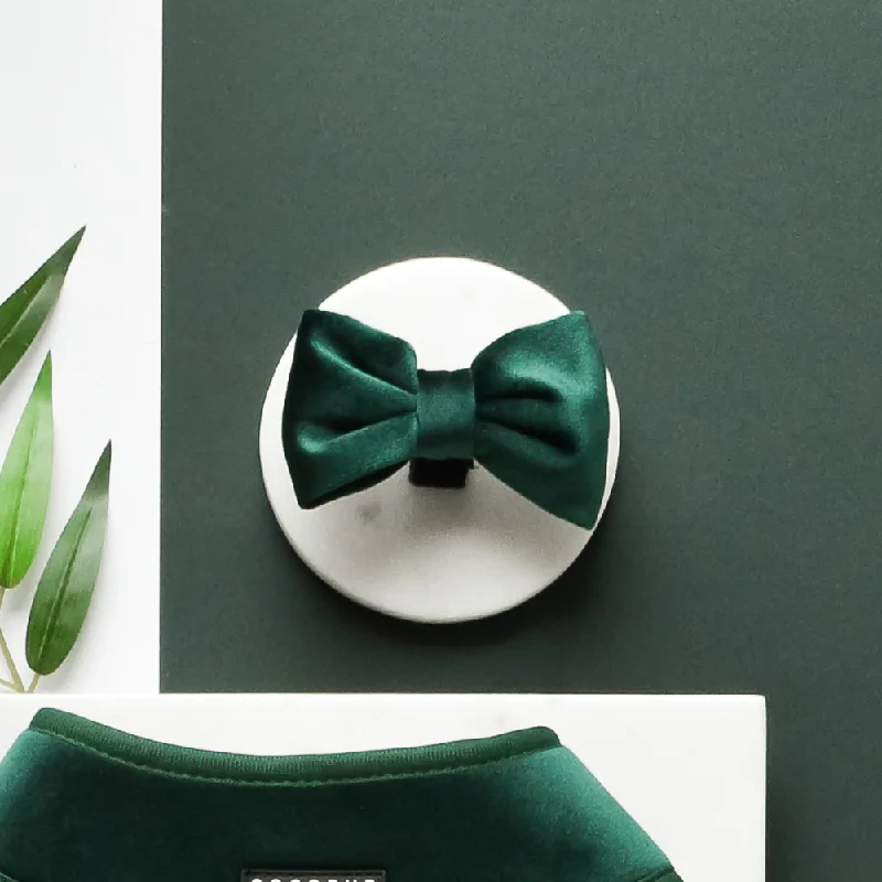 affordable slim silk ties for men-LUXE Velvet Bow Tie - Forest Green