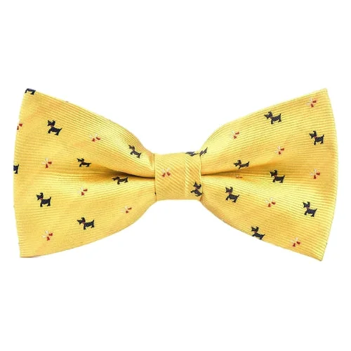 stylish business silk necktie ideas-Classy Men Yellow Fancy Bow Tie